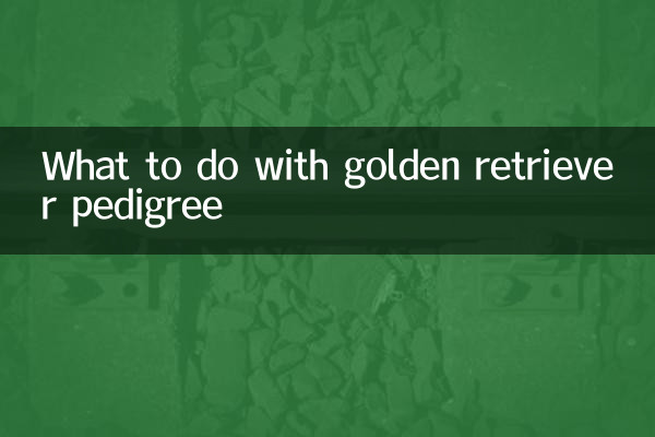 What to do with golden retriever pedigree