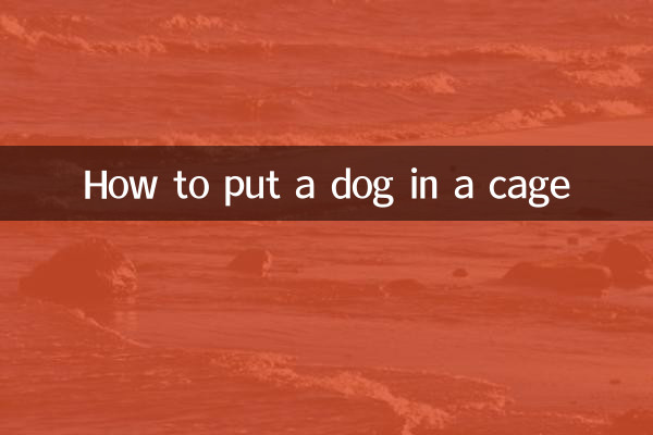 Cómo poner un perro en una jaula.