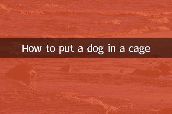 Comment mettre un chien en cage
