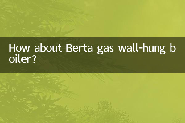 How about Berta gas wall-hung boiler?