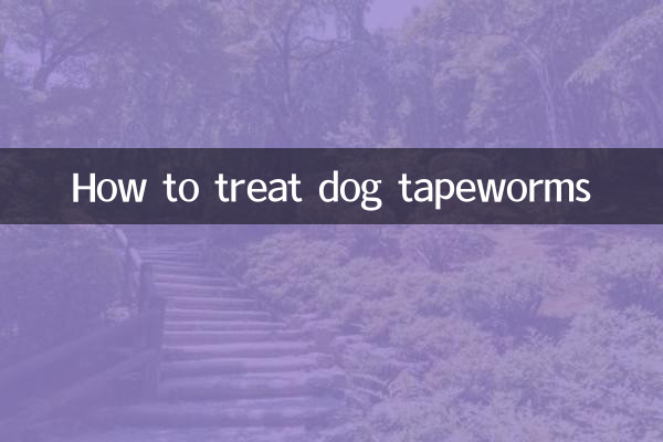 개 촌충을 치료하는 방법