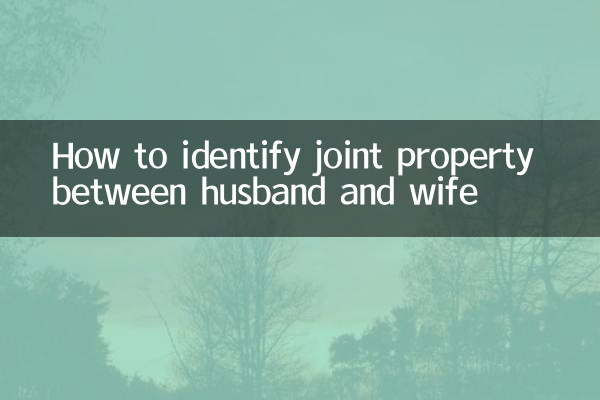 Как определить совместное имущество мужа и жены