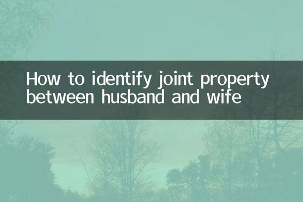 夫妻共同財產怎麼認定