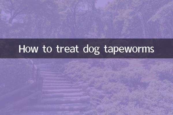 개 촌충을 치료하는 방법