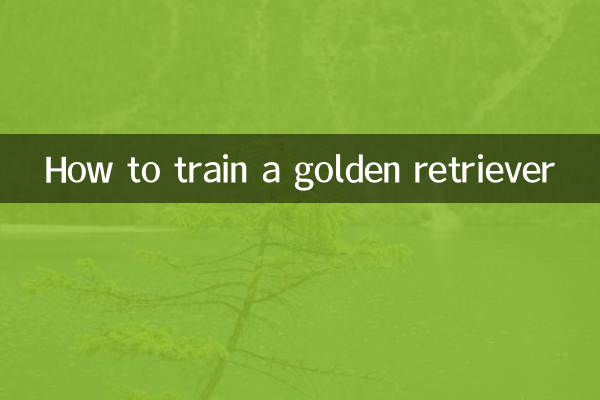 Como treinar um golden retriever