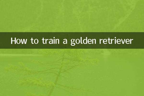 Как дрессировать золотистого ретривера