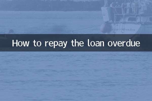 अतिदेय ऋण का भुगतान कैसे करें?