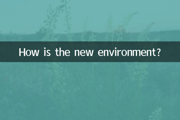 Comment est le nouvel environnement ?