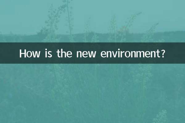 새로운 환경은 어떤가요?