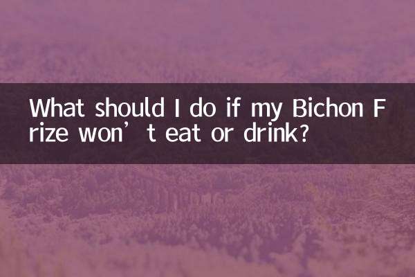 আমার Bichon Frize খাওয়া বা পান না হলে আমার কি করা উচিত?