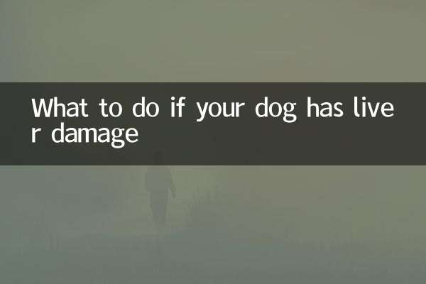 狗狗肝臟損傷怎麼辦