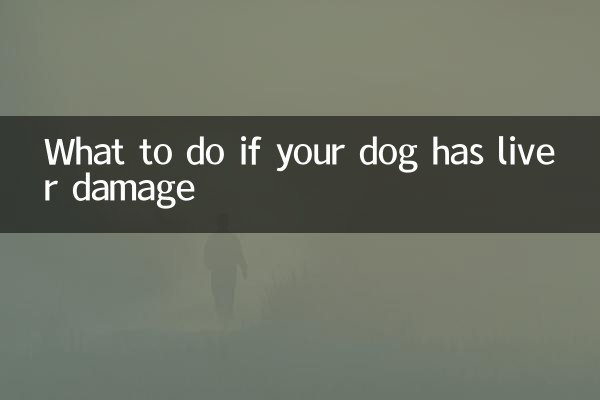 اگر آپ کے کتے کو جگر کا نقصان ہو تو کیا کریں