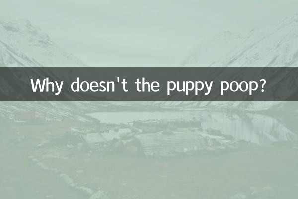 Por que o cachorrinho não faz cocô?