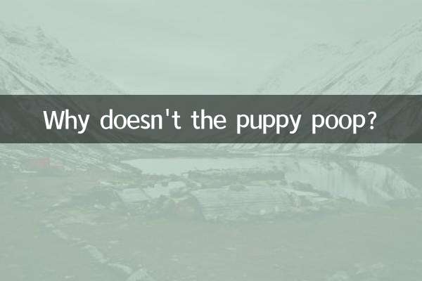 Por que o cachorrinho não faz cocô?