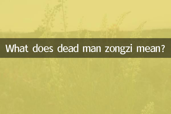 Cosa significa zongzi uomo morto?