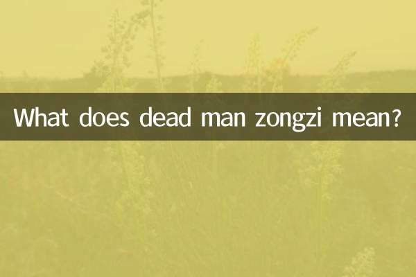 Cosa significa zongzi uomo morto?
