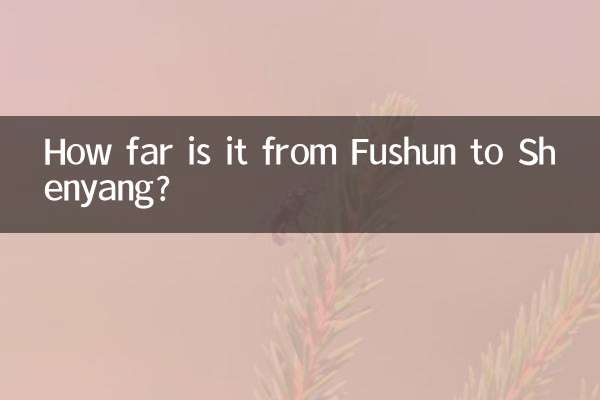 فاصله فوشون تا شنیانگ چقدر است؟