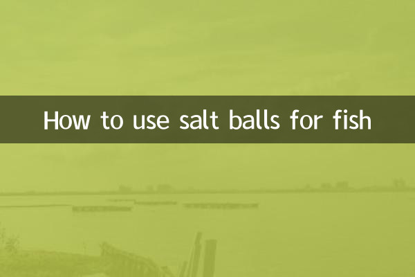 So verwenden Sie Salzbällchen für Fisch