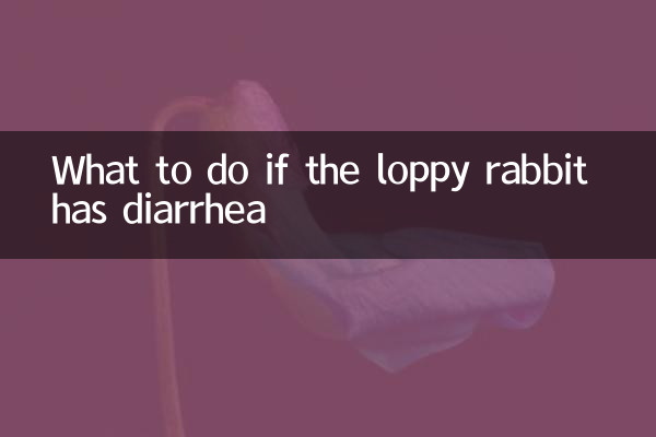 Qué hacer si el conejo loppy tiene diarrea