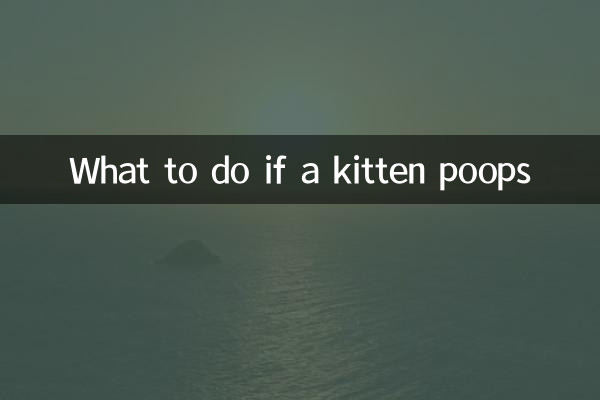 Qué hacer si un gatito caca