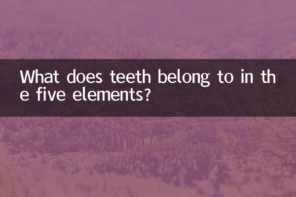 ¿A qué pertenecen los dientes en los cinco elementos?