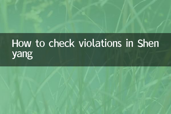 Cómo comprobar las infracciones en Shenyang