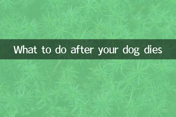 O que fazer depois que seu cachorro morrer