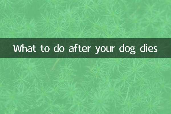 Qué hacer después de la muerte de tu perro