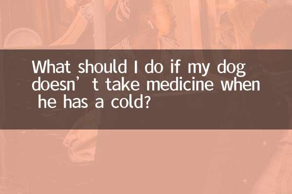 犬が風邪をひいたときに薬を飲まない場合はどうすればよいですか?