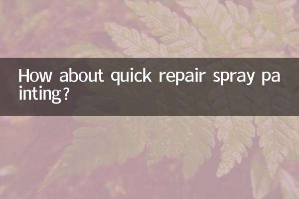 त्वरित मरम्मत स्प्रे पेंटिंग के बारे में क्या ख्याल है?