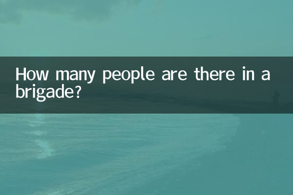 Quante persone ci sono in una brigata?