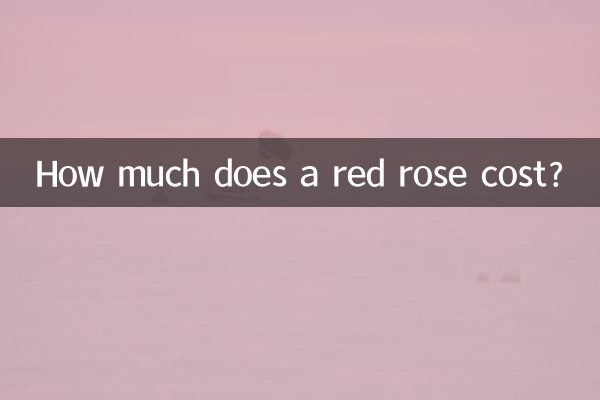 How much does a red rose cost?