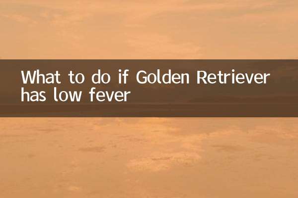 अगर गोल्डन रिट्रीवर को हल्का बुखार हो तो क्या करें?