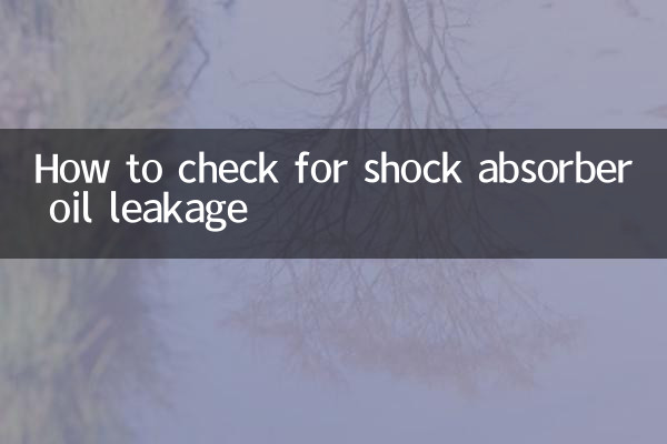 怎麼看避震漏油