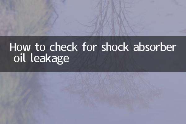 Cómo comprobar si hay fugas de aceite en el amortiguador