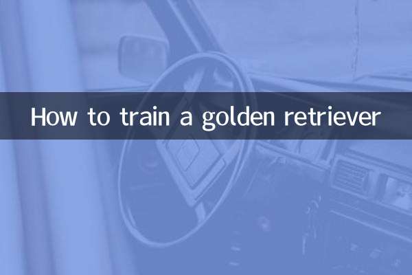 سنہری بازیافت کی تربیت کیسے کریں