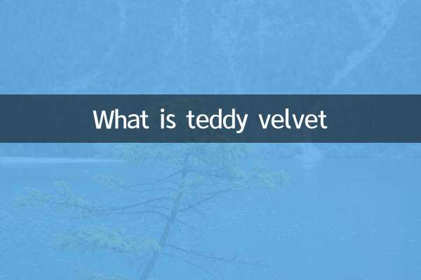 টেডি মখমল কি