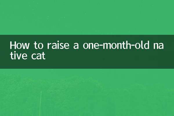 Wie man eine einen Monat alte einheimische Katze großzieht