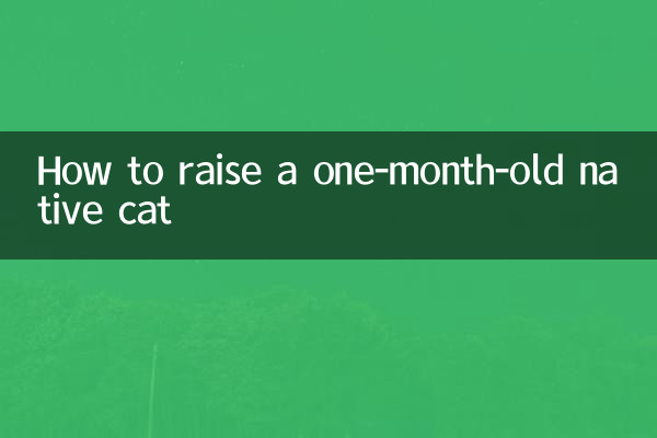 كيفية تربية قطة محلية عمرها شهر واحد