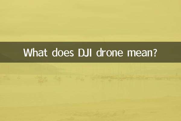 ¿Qué significa dron DJI?