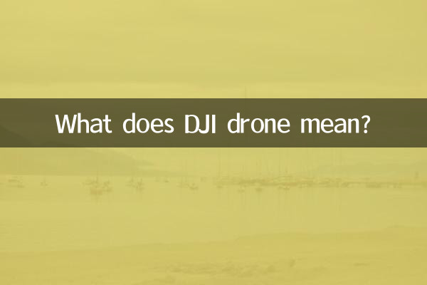 DJI 드론이 무슨 뜻인가요?