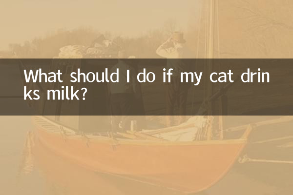 আমার বিড়াল দুধ পান করলে আমার কি করা উচিত?