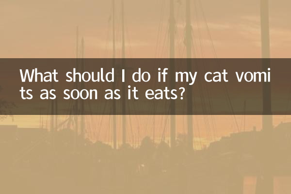 Que dois-je faire si mon chat vomit dès qu'il mange ?