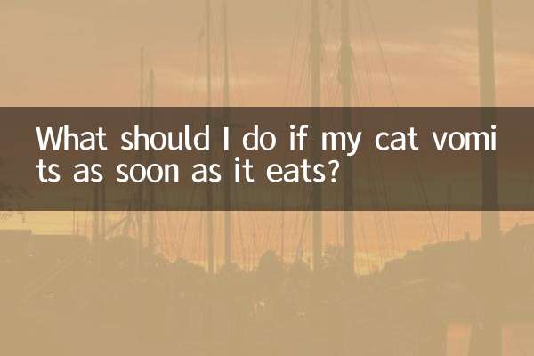 猫一吃东西就吐怎么办