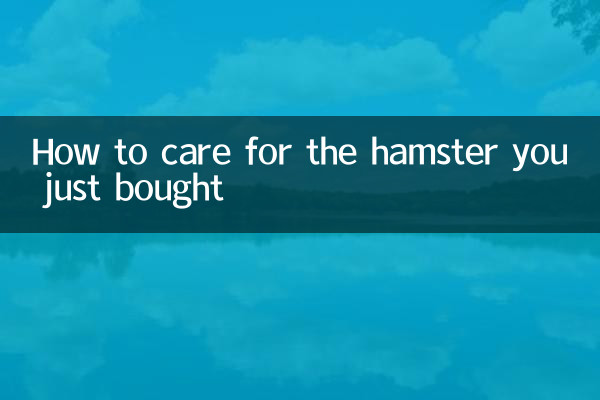 आपके द्वारा अभी खरीदे गए हम्सटर की देखभाल कैसे करें
