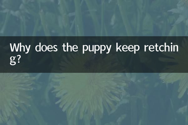 Why does the puppy keep retching?