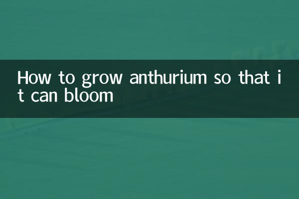 How to grow anthurium so that it can bloom