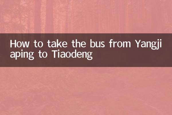 杨家坪到跳蹬怎么坐车