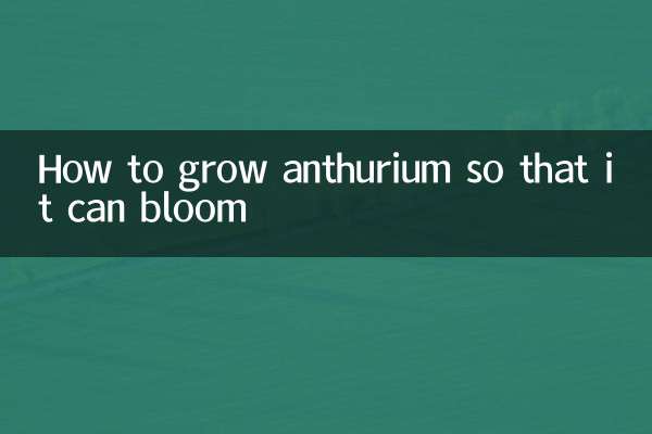 Como cultivar antúrio para que floresça