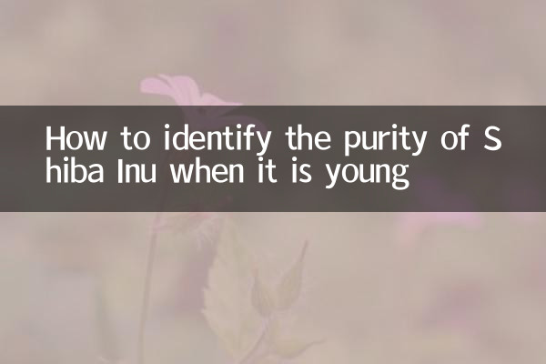 युवा होने पर शीबा इनु की शुद्धता की पहचान कैसे करें?